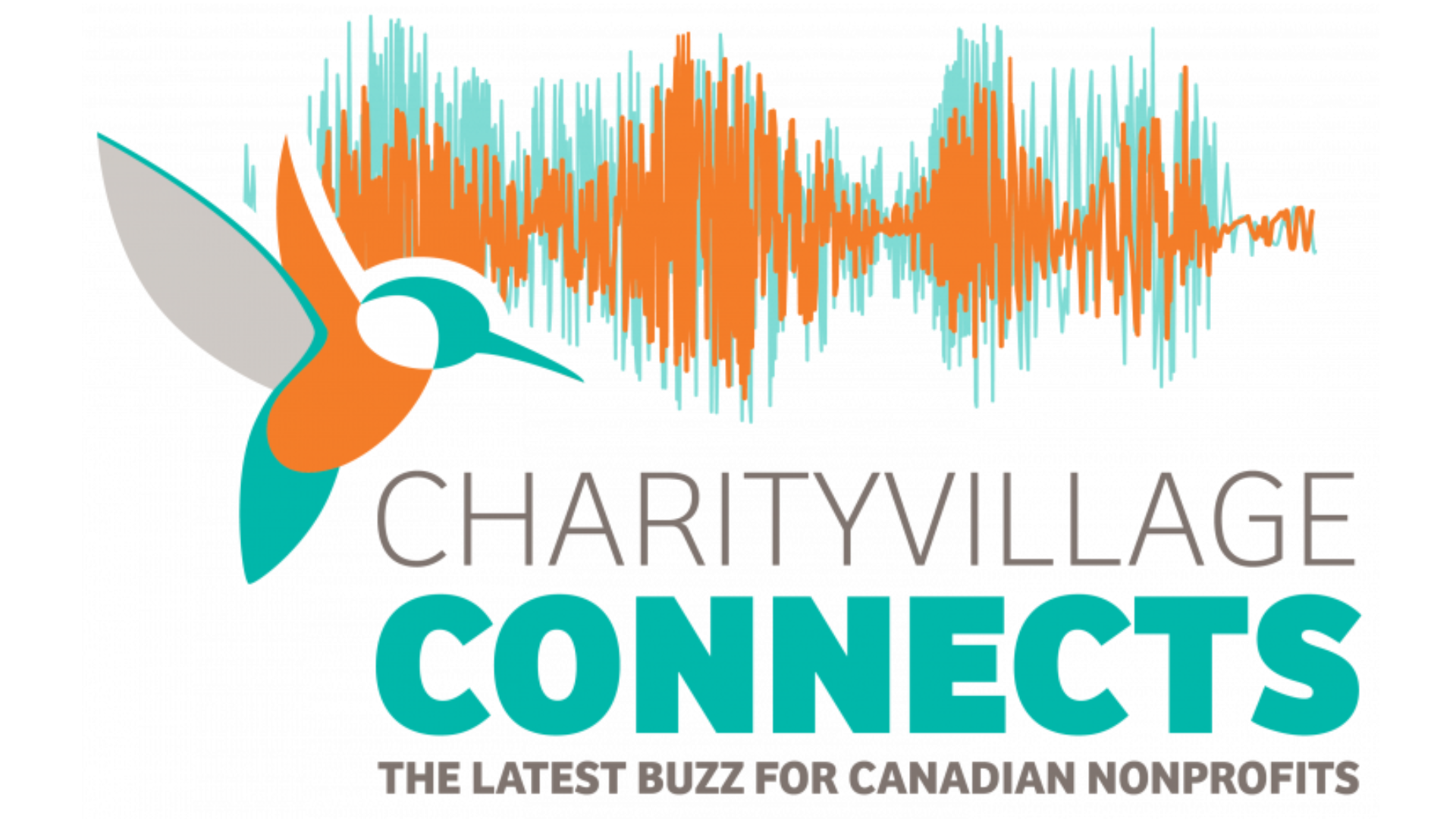 CharityVillage Connects How Bill S 216 Could Transform The Canadian   CharityVillage Connects 